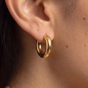 Celaris Hoops hero close-up