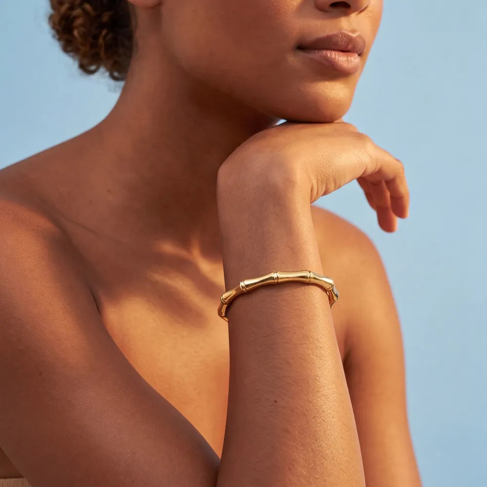 Fenessa Bangle on model