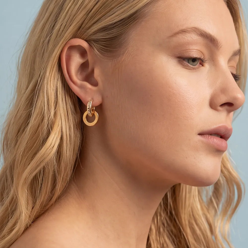 Delienne Hoops detail